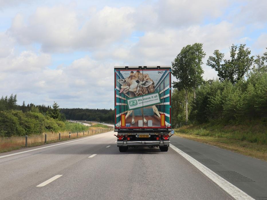 Everything You Need to Know About Moving Day Etiquette