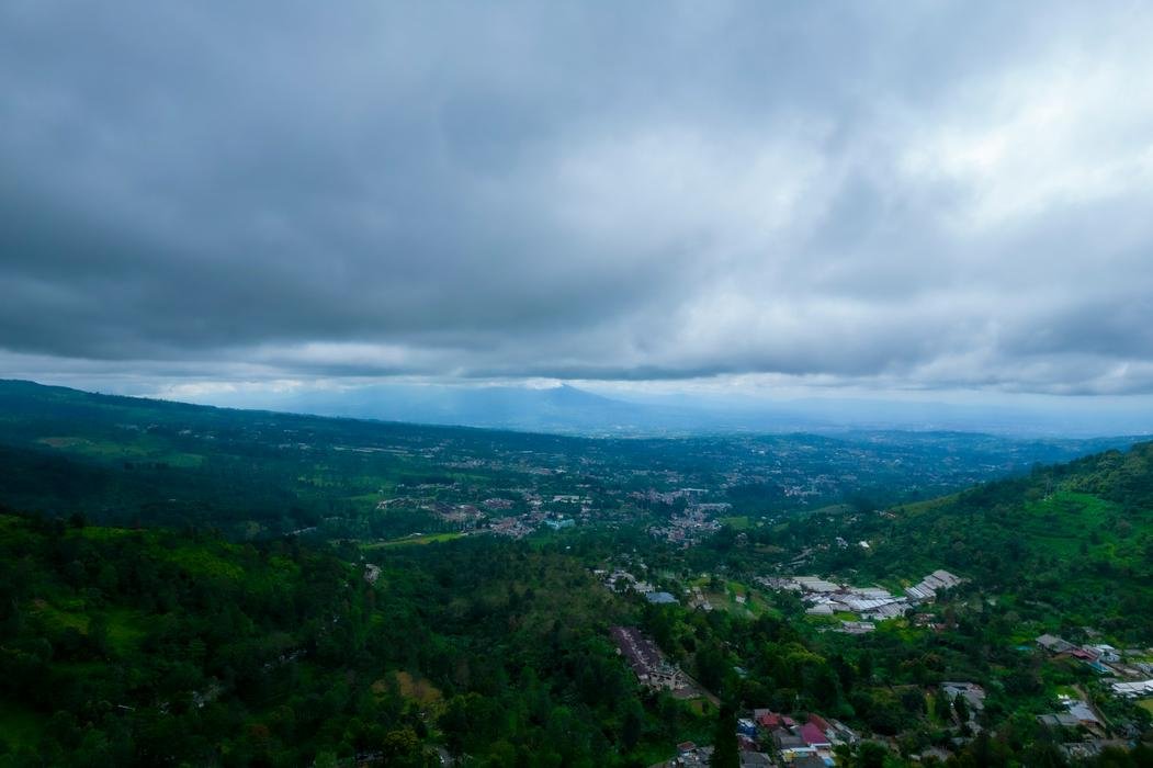 Tennessee Out-Migration Trends: Where Residents Are Relocating, According to Interstate Moving
