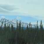 Moving from Delaware to Alaska
