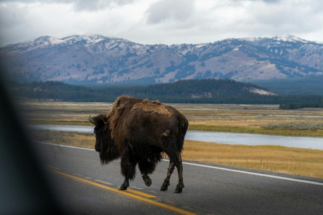 Moving from Connecticut to Montana