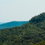 Moving from Idaho to West Virginia