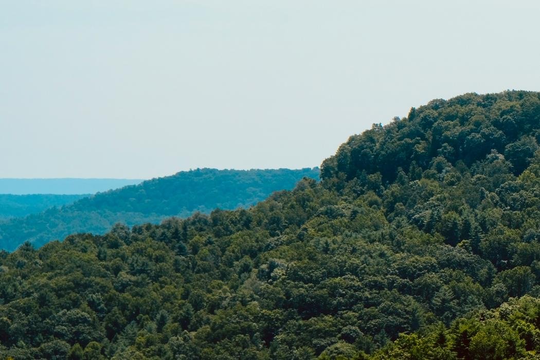 Moving from Idaho to West Virginia
