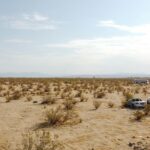 Moving from Montana to Nevada: Tips for a Smooth Transition